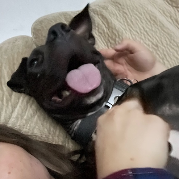 GUESS Jeans. Only worn a few times. Straight legged, no rips, no distress. - Picture 8 of 8